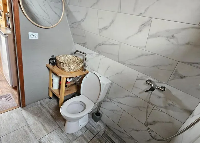 Chalet La Lui Matei Brașov